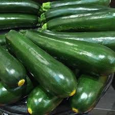 plants potagers - Courgette black beauty