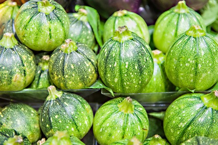 plants potagers - courgette ronde de nice