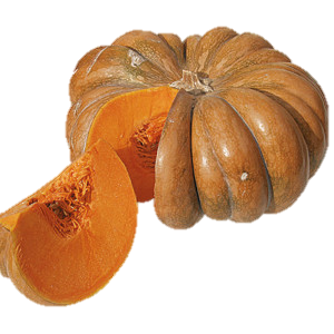 Plants potagers : Courge musquée de Provence